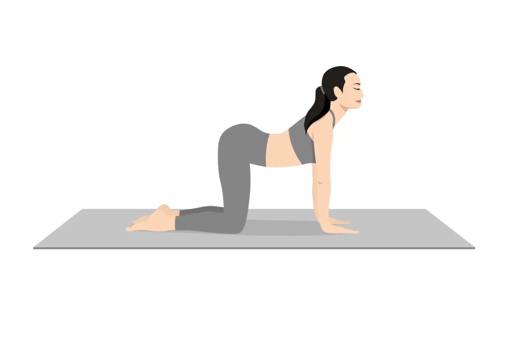 Cat-Cow Pose (Marjaryasana-Bitilasana)
